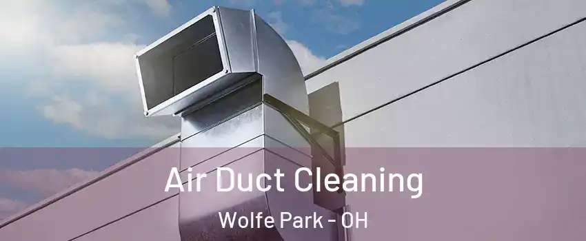 Air Duct Cleaning Wolfe Park - OH