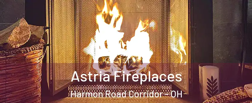 Astria Fireplaces Harmon Road Corridor - OH
