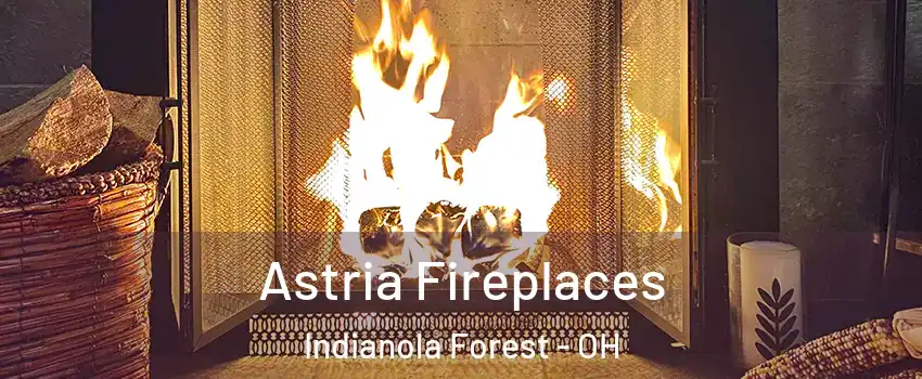 Astria Fireplaces Indianola Forest - OH