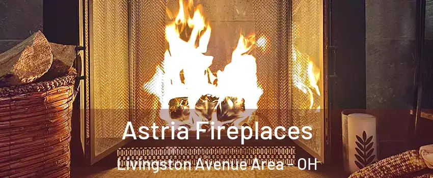 Astria Fireplaces Livingston Avenue Area - OH