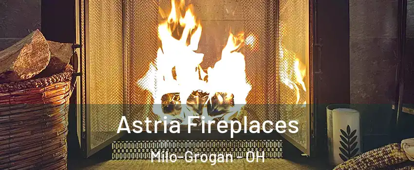 Astria Fireplaces Milo-Grogan - OH