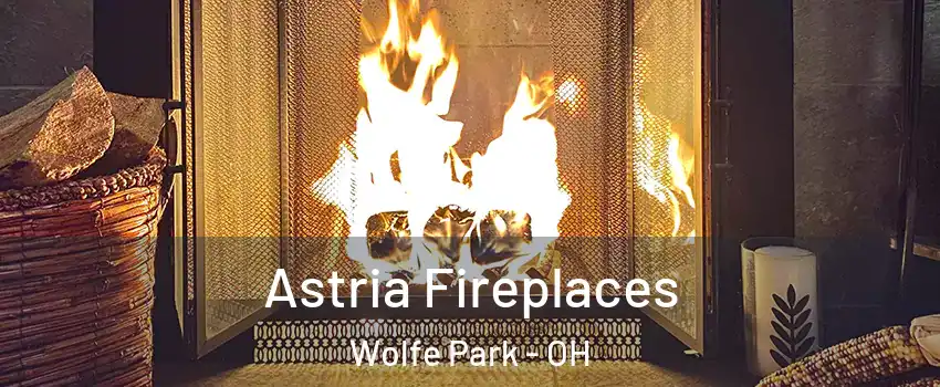 Astria Fireplaces Wolfe Park - OH
