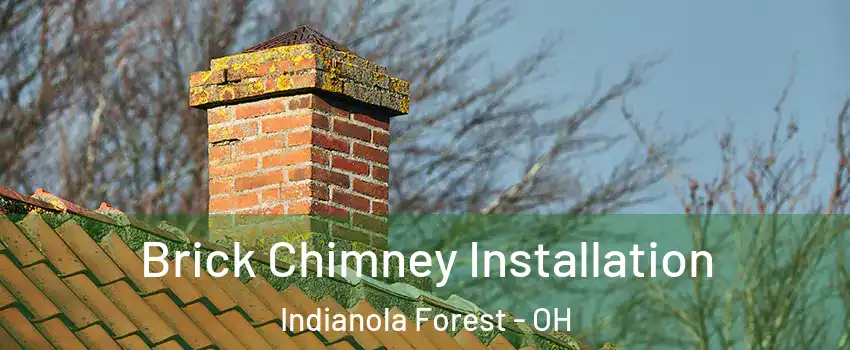 Brick Chimney Installation Indianola Forest - OH