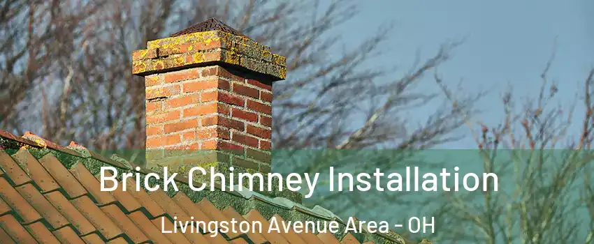 Brick Chimney Installation Livingston Avenue Area - OH