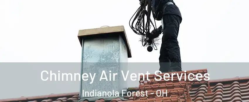 Chimney Air Vent Services Indianola Forest - OH