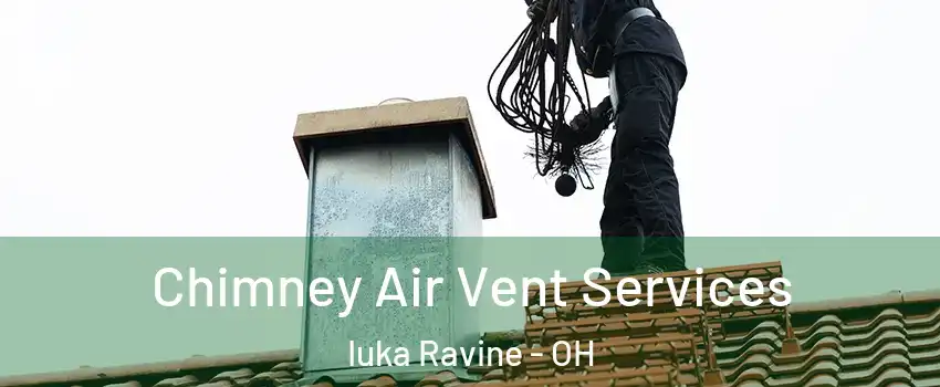Chimney Air Vent Services Iuka Ravine - OH