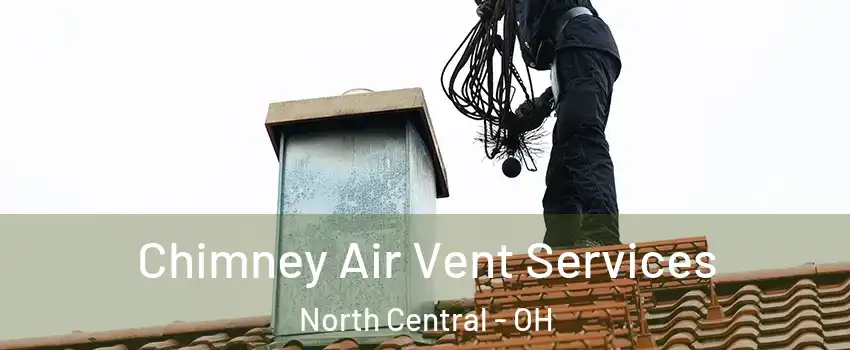 Chimney Air Vent Services North Central - OH