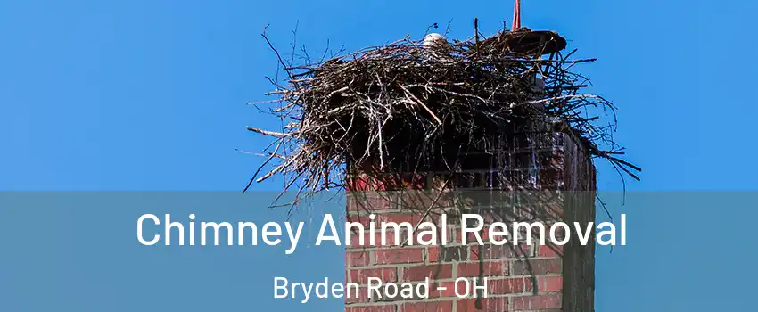 Chimney Animal Removal Bryden Road - OH