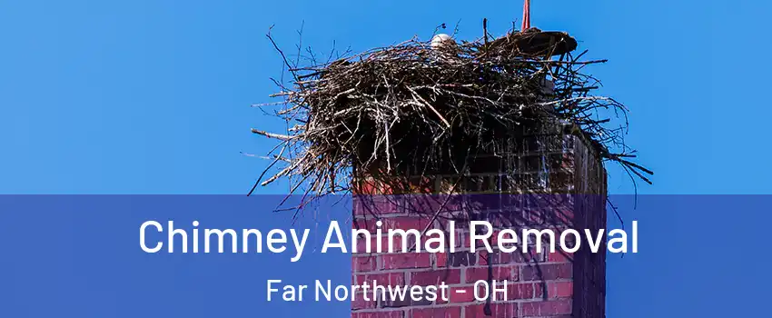 Chimney Animal Removal Far Northwest - OH