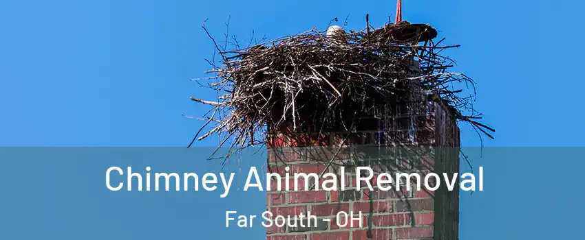 Chimney Animal Removal Far South - OH