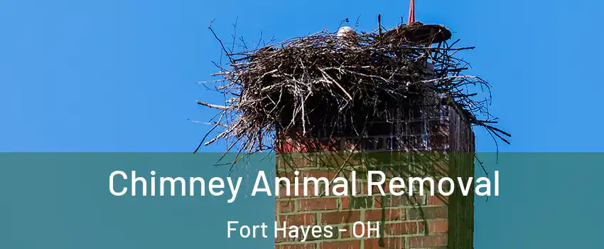 Chimney Animal Removal Fort Hayes - OH