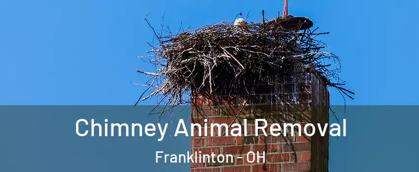 Chimney Animal Removal Franklinton - OH