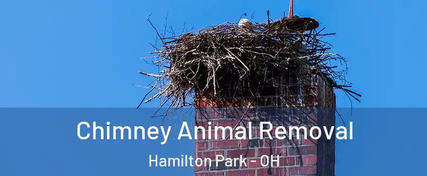 Chimney Animal Removal Hamilton Park - OH