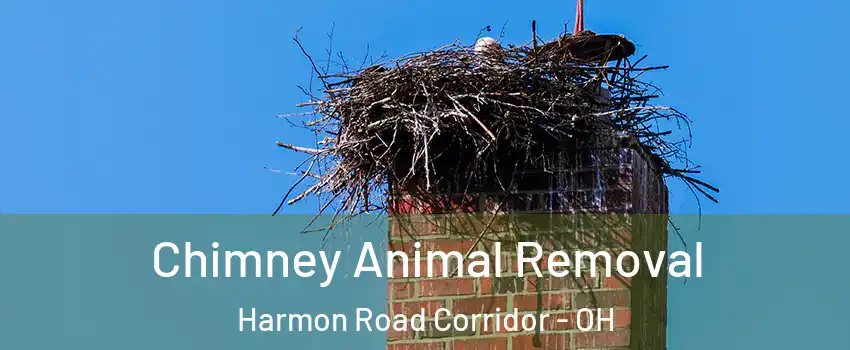 Chimney Animal Removal Harmon Road Corridor - OH