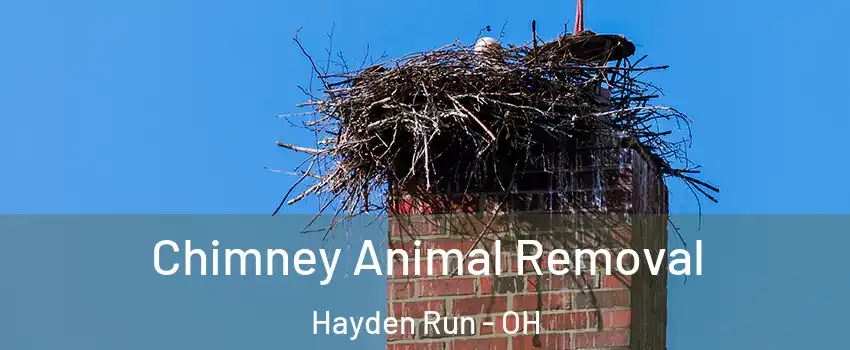 Chimney Animal Removal Hayden Run - OH