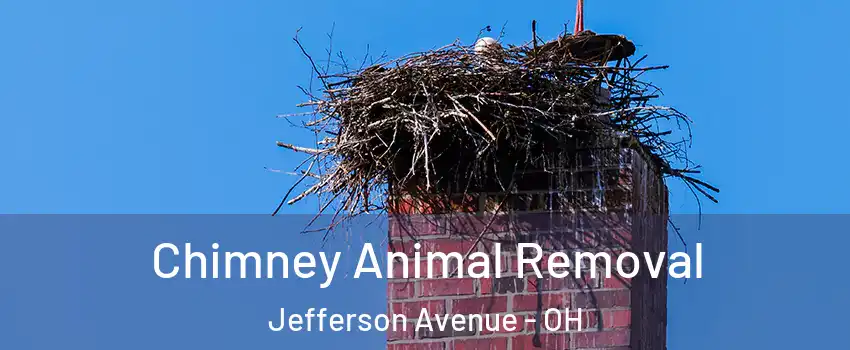 Chimney Animal Removal Jefferson Avenue - OH