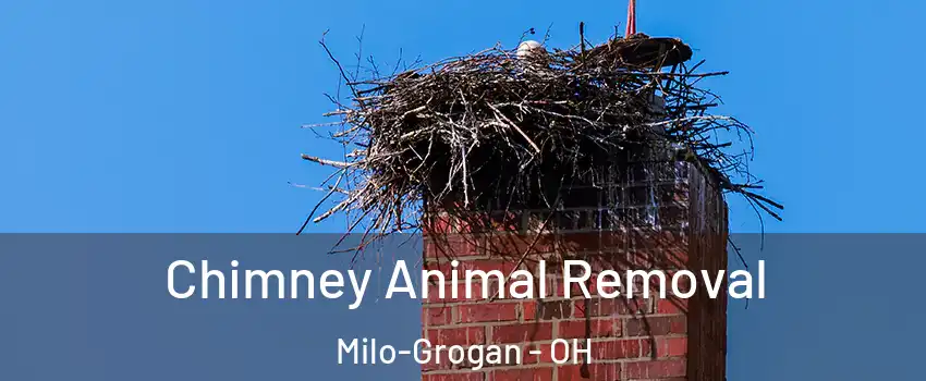 Chimney Animal Removal Milo-Grogan - OH