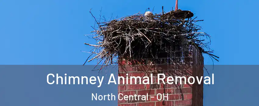 Chimney Animal Removal North Central - OH