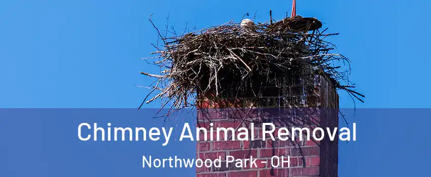 Chimney Animal Removal Northwood Park - OH