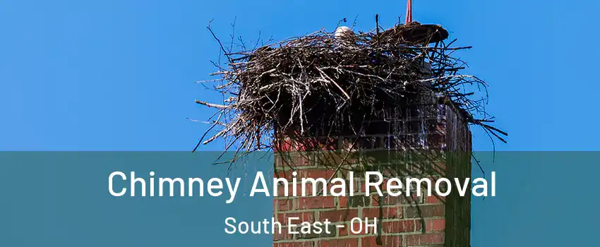 Chimney Animal Removal South East - OH