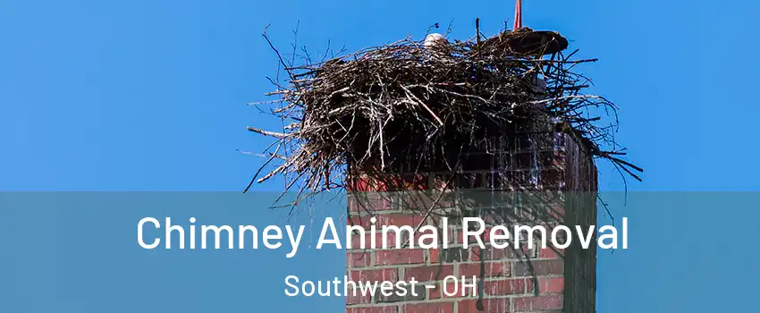 Chimney Animal Removal Southwest - OH