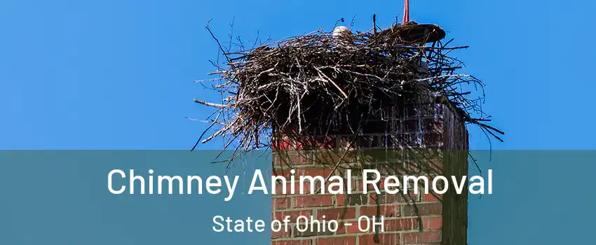 Chimney Animal Removal State of Ohio - OH