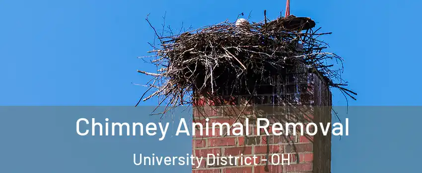 Chimney Animal Removal University District - OH