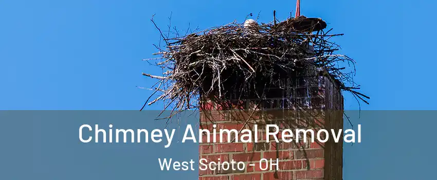 Chimney Animal Removal West Scioto - OH