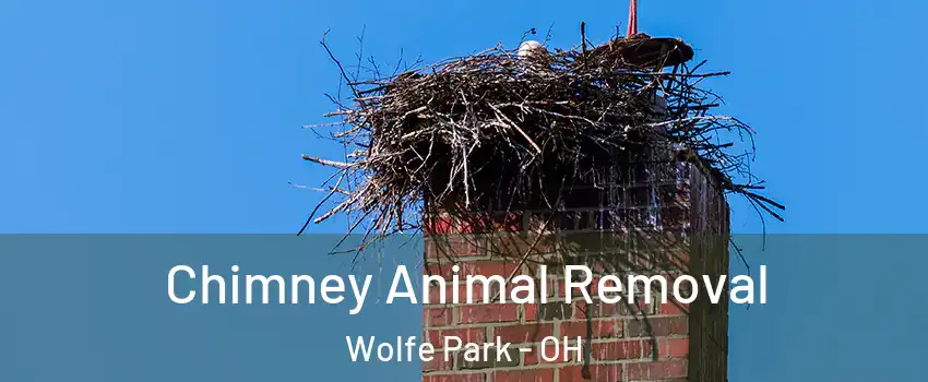 Chimney Animal Removal Wolfe Park - OH
