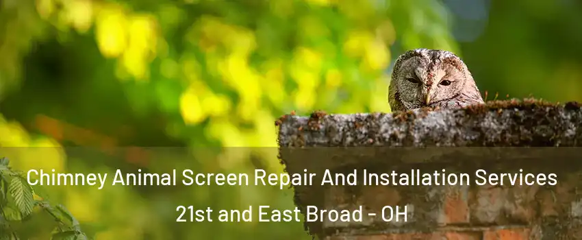 Chimney Animal Screen Repair And Installation Services 21st and East Broad - OH