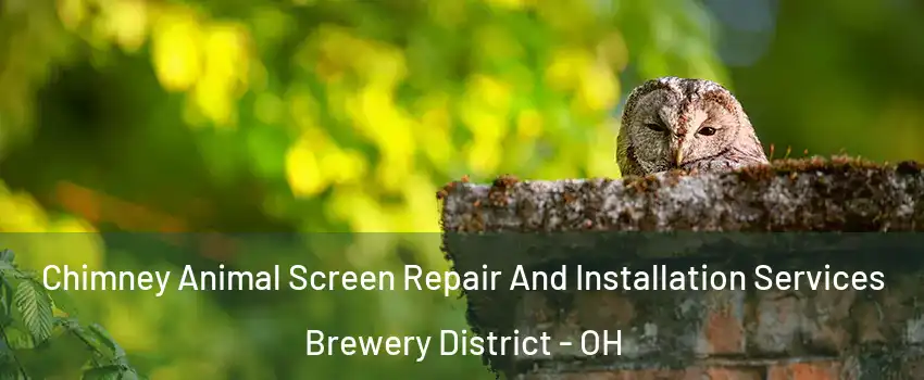 Chimney Animal Screen Repair And Installation Services Brewery District - OH