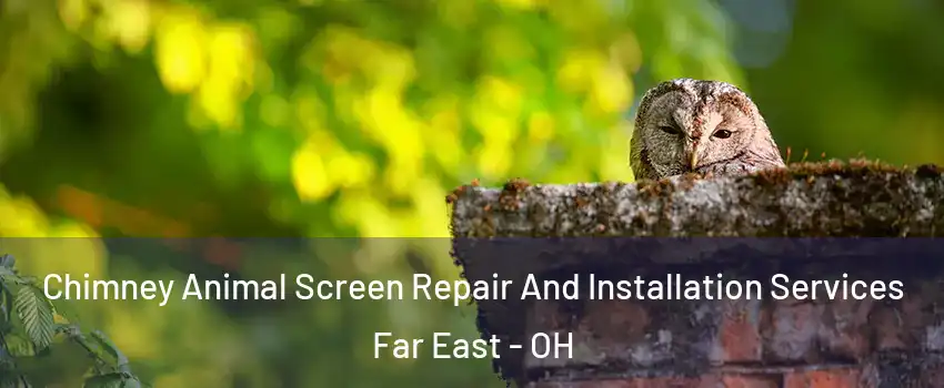 Chimney Animal Screen Repair And Installation Services Far East - OH