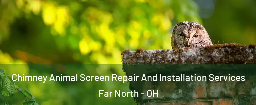 Chimney Animal Screen Repair And Installation Services Far North - OH