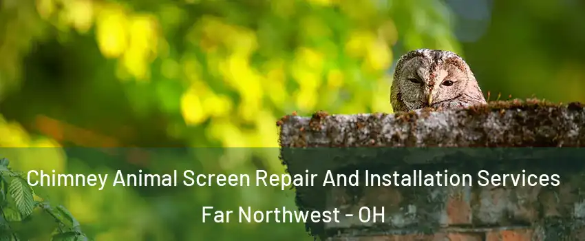 Chimney Animal Screen Repair And Installation Services Far Northwest - OH