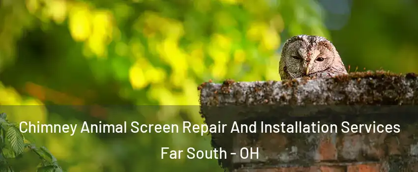 Chimney Animal Screen Repair And Installation Services Far South - OH