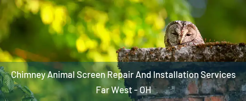 Chimney Animal Screen Repair And Installation Services Far West - OH