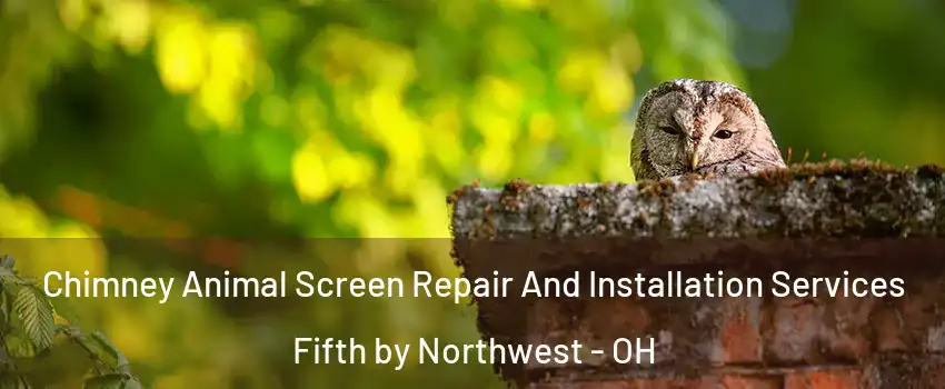 Chimney Animal Screen Repair And Installation Services Fifth by Northwest - OH