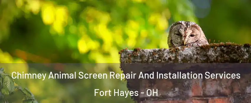Chimney Animal Screen Repair And Installation Services Fort Hayes - OH