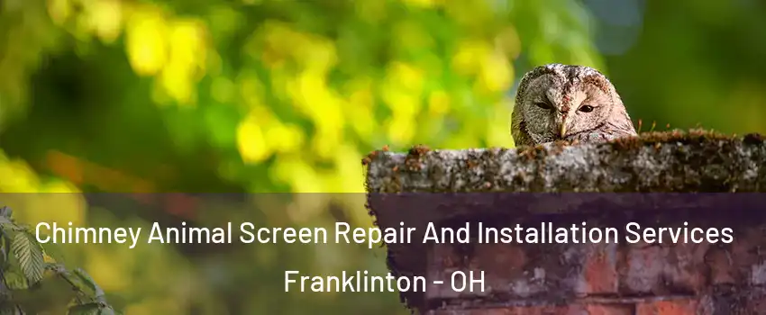 Chimney Animal Screen Repair And Installation Services Franklinton - OH