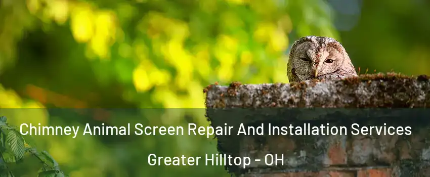 Chimney Animal Screen Repair And Installation Services Greater Hilltop - OH
