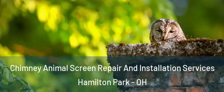 Chimney Animal Screen Repair And Installation Services Hamilton Park - OH