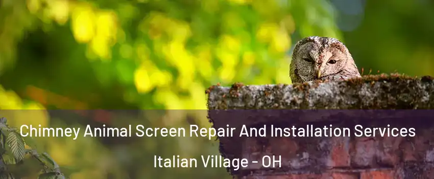 Chimney Animal Screen Repair And Installation Services Italian Village - OH