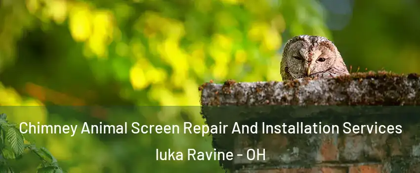 Chimney Animal Screen Repair And Installation Services Iuka Ravine - OH