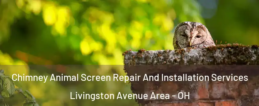 Chimney Animal Screen Repair And Installation Services Livingston Avenue Area - OH