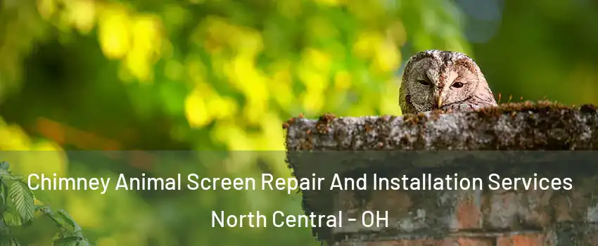 Chimney Animal Screen Repair And Installation Services North Central - OH