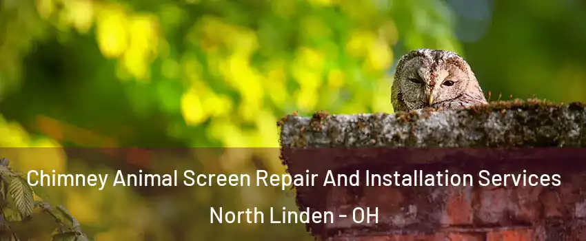 Chimney Animal Screen Repair And Installation Services North Linden - OH