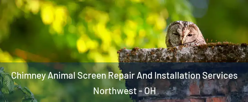 Chimney Animal Screen Repair And Installation Services Northwest - OH