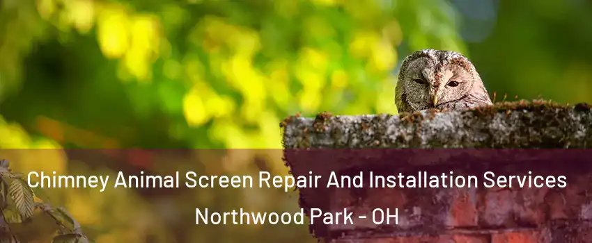 Chimney Animal Screen Repair And Installation Services Northwood Park - OH