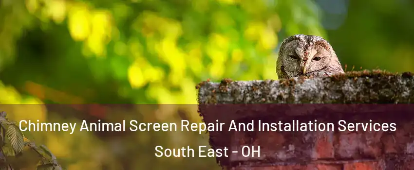 Chimney Animal Screen Repair And Installation Services South East - OH