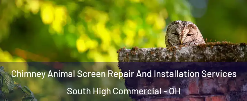 Chimney Animal Screen Repair And Installation Services South High Commercial - OH
